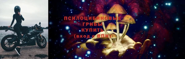 спиды Армянск