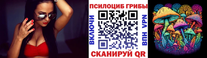 блэк спрут зеркало  Сланцы  Галлюциногенные грибы ЛСД 